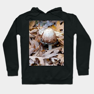 Ink cap mushroom on fall oak leaves Hoodie